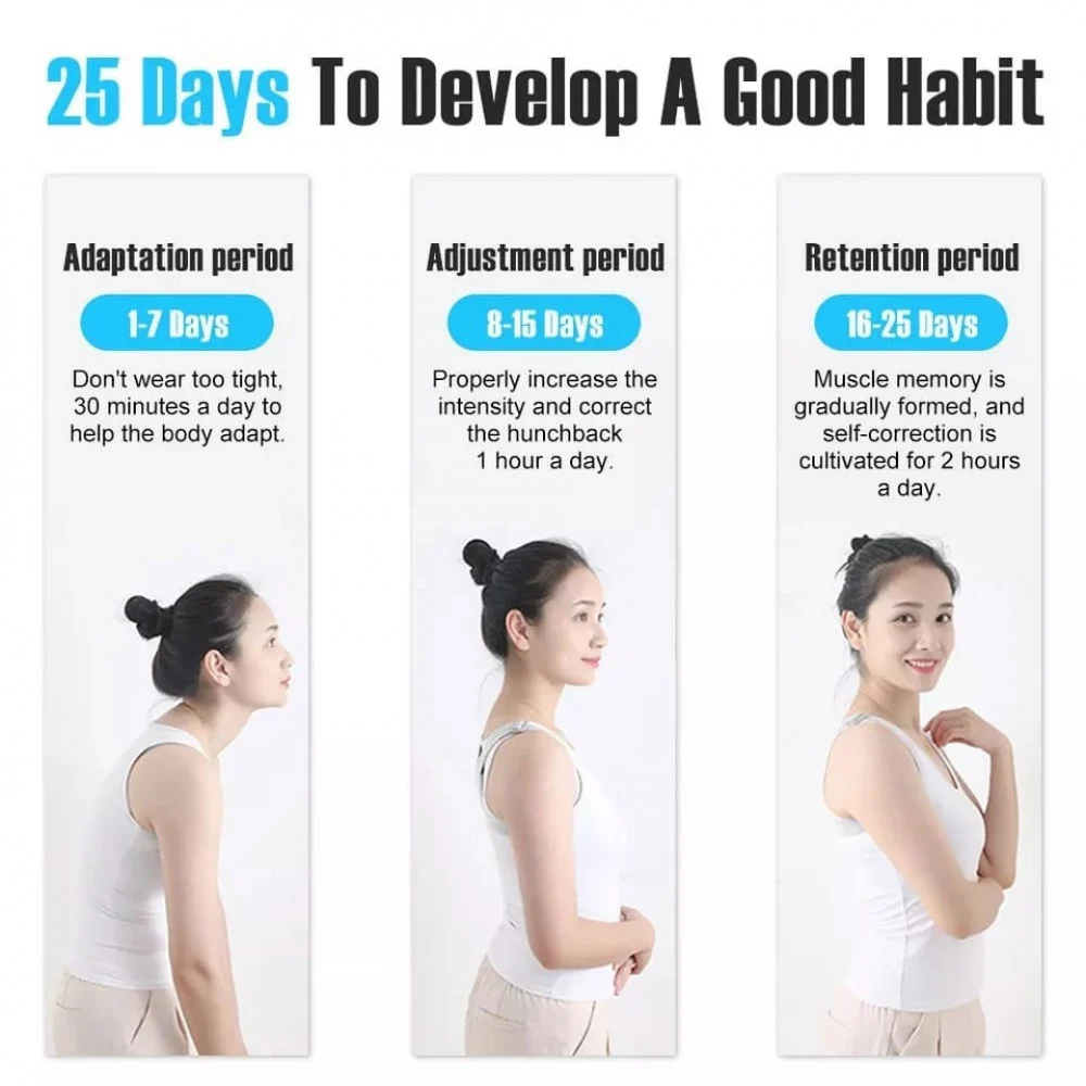 مشد دعم تقوس الظهر